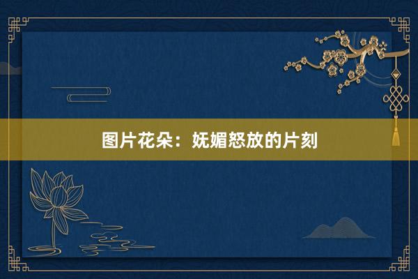 图片花朵：妩媚怒放的片刻