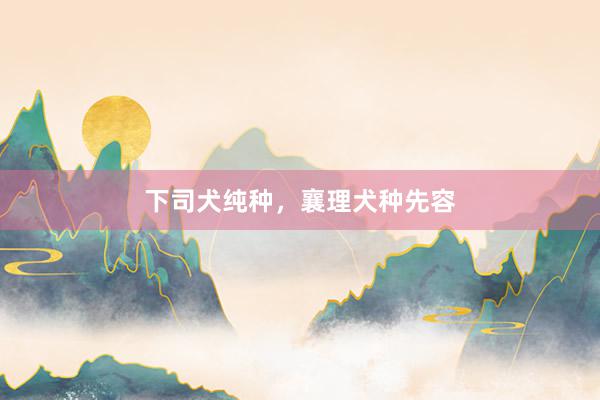 下司犬纯种，襄理犬种先容